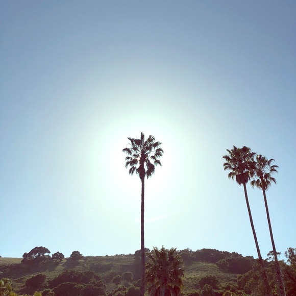 Meet your Posher, Katie - Picture 1 of 1